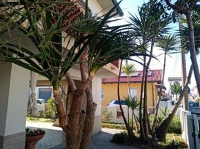 Florinda B&B Viareggio, Viareggio